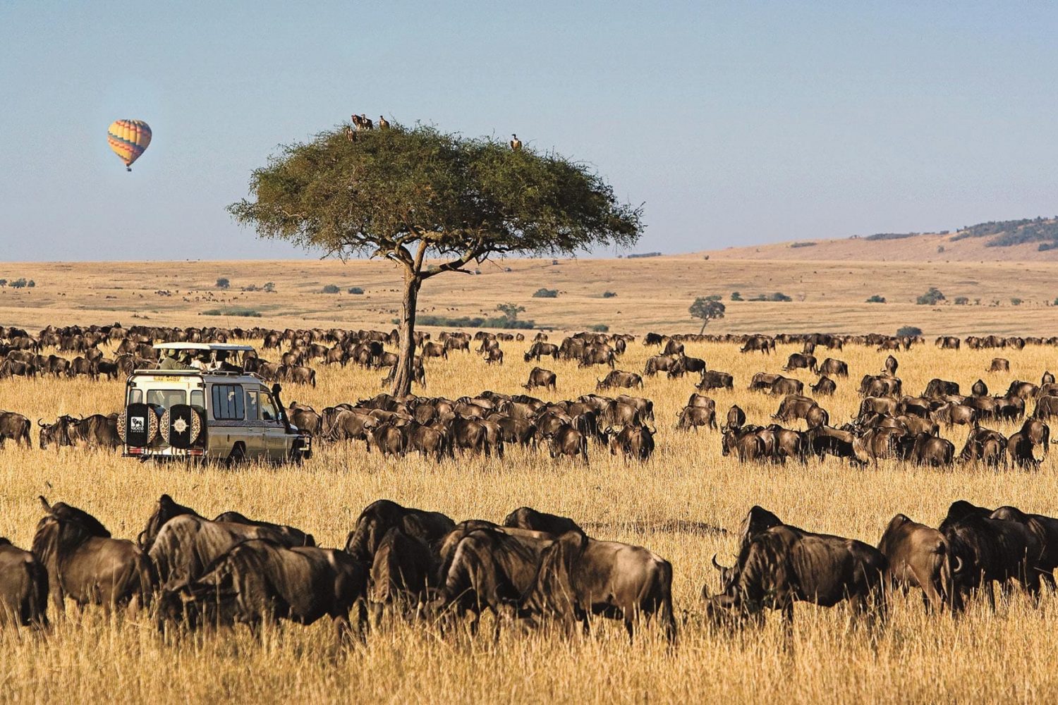 Serengeti Safari Park Tanzania